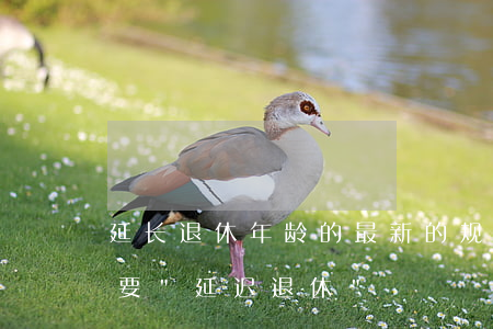 延长退休年龄的最新的规定是怎样的（为什么要"延迟退休"）